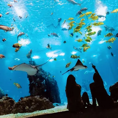Un De Reve En Plein Coeur Du Pont Vasco De Gamma Apartmán Lisboa